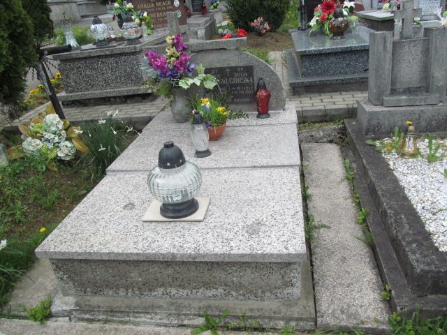 Grób Julia Górska