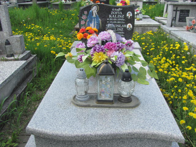 Grób Zofia Kalisz 